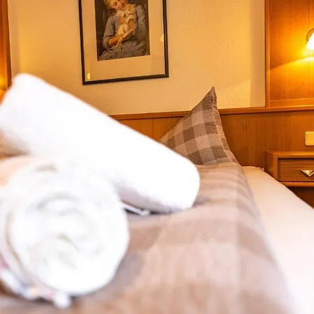 招待所 Haus Anton - & *